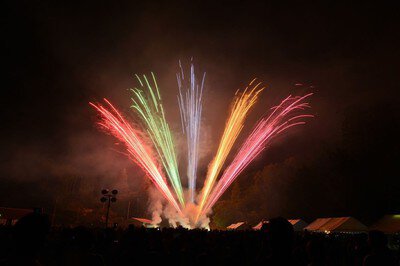ふじおかおいでん夏まつり 祭りの最後を飾る花火が夜空を美しく彩る