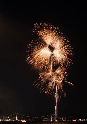 夜空に広がる黄金色の華