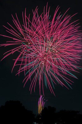 かまがやの花火 画像(5/5)