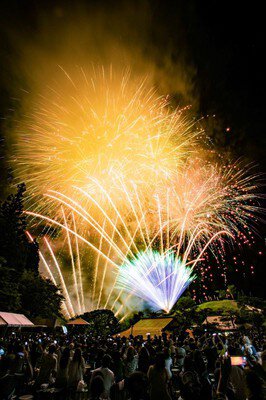平維盛の大祭 画像(2/5)