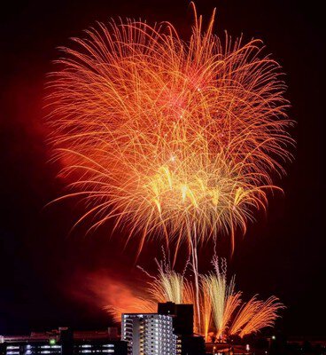 まばゆい赤の花火が夜空を燃やすように広がる