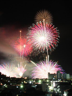 色彩豊かな花火が夜空を華やかに彩る