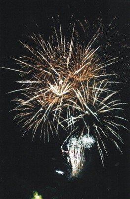 夜空に広がる大輪の花火