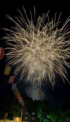 夜空いっぱいに広がる白銀の大輪