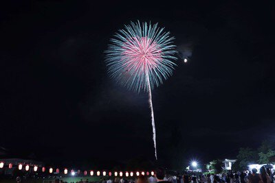 月夜に咲く美しい単発花火