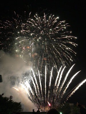 にまごいせ祭 画像(4/5)