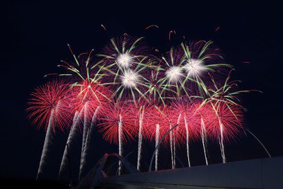黄金色のシャワーが夜空一面を覆う