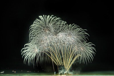 銀の花火が夜空に咲き誇る大輪