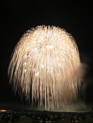 浅川の花火 画像(2/5)