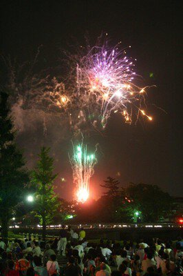 色彩豊かな花火が夜を染める