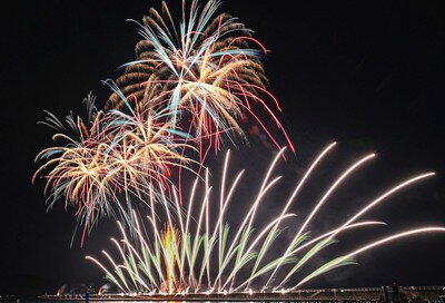 個性豊かな花火が夜を彩る