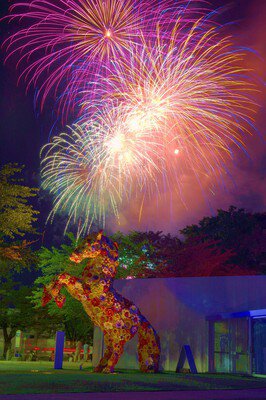 十和田市夏まつり花火大会 画像(3/3)