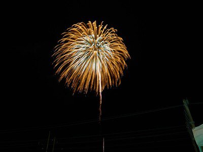 黄金の花火が夜空にくっきりと輝く
