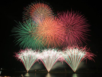 夜空に広がる鮮やかな大輪の共演