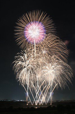 夜空に大輪が咲く華やかな一瞬
