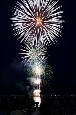 うわじま牛鬼まつり・花火大会 画像(3/3)
