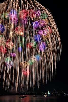 色とりどりの花火が夜空に咲く幻想的な一瞬