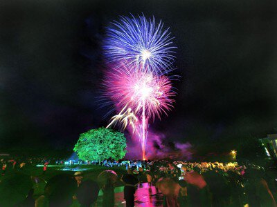バラの香りに包まれて観る夜空の花火