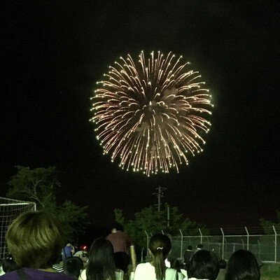 阿木夏祭り花火大会 画像(3/4)