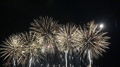 名護夏まつり～青空市とビールまつり～ 画像(4/5)