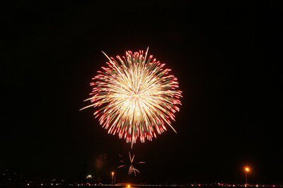 夜空に鮮やかに咲く一輪の花火