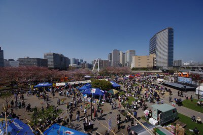 青空の下で屋台や体験ブースを満喫