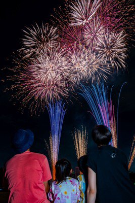 夜空を彩る色鮮やかな大輪の華