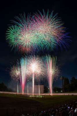 色とりどりの花火が競演する華やかな一幕