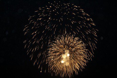 御田祭の里花火大会 画像(4/4)