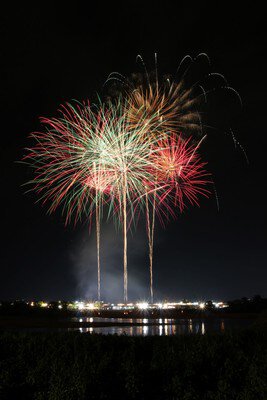 繊細な線が夜空に描く美しい花火の輪郭
