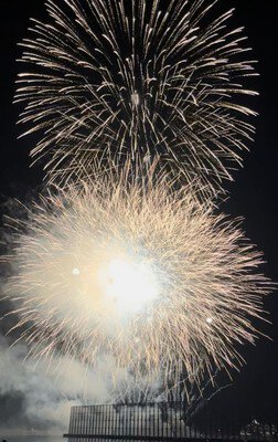 夜空を覆う純白の大輪が見事