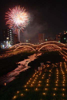 豪快な花火が夜空と川面を美しく照らす