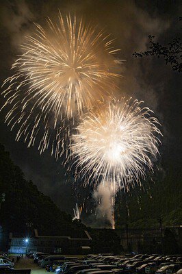 しいば花火大会 画像(3/3)