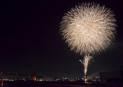 光の玉が夜空を静かに包み込む
