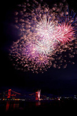夜空に咲く色とりどりの大輪の花