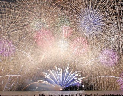 色とりどりの花火が扇状に展開