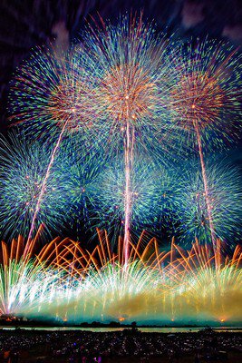 天空を包む大輪の花が一斉に開花