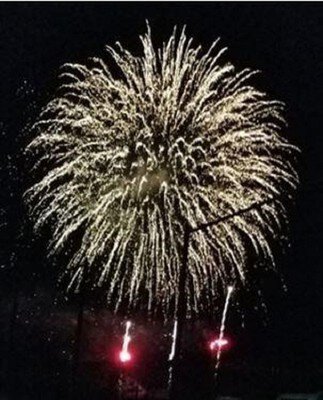 にしわき市・黒田庄夏まつり 画像(3/4)