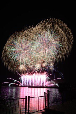 海面に映り込む光と空に咲く花が一体となる絶景
