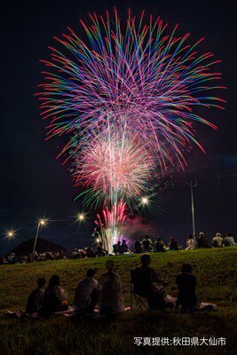 草地に座り見上げる色彩豊かな打ち上げ花火