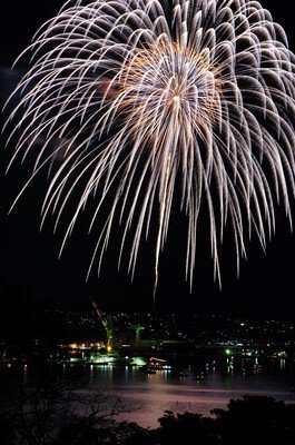 夜空いっぱいに広がる華麗な大輪