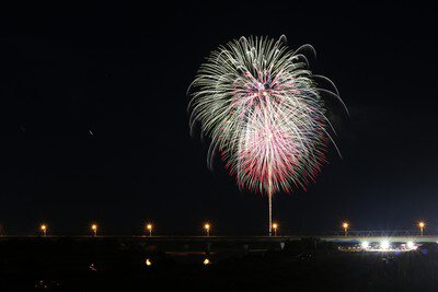 夏の夜空を鮮やかに染め上げる色彩豊かな花火