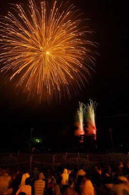 弥彦燈籠まつり奉納花火大会 画像(3/5)