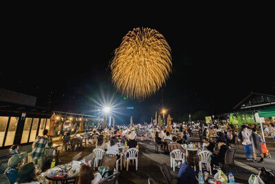 弥彦燈籠まつり奉納花火大会 画像(5/5)