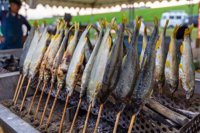 打ち上げ会場に最も近い「食べる･飲める･花火ガーデン」には、県内外の屋台グルメを楽しめる