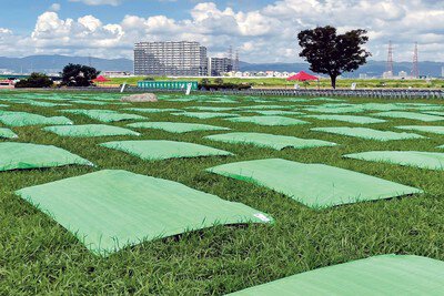河川敷に並ぶシート席と青空が広がる会場