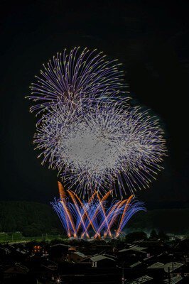 甲賀流にんにん大花火 画像(5/5)