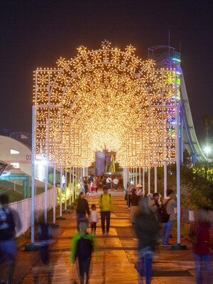夜の散策を彩る光のアーチ