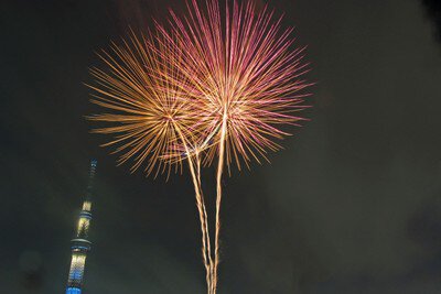 夜空に大きく広がる黄金色の大輪