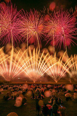 夜空を染める色とりどりの大輪